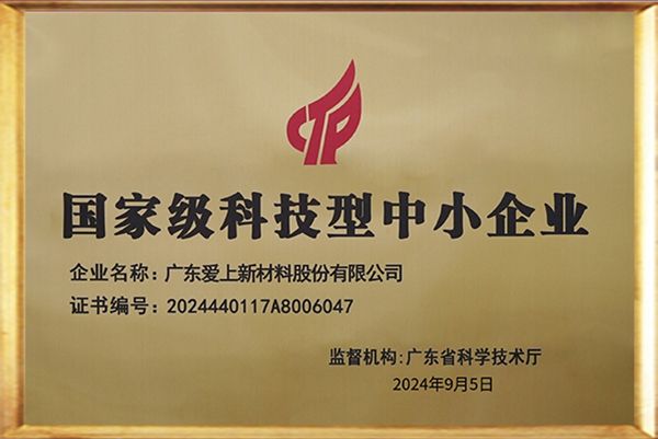 国家级科技型中小企业