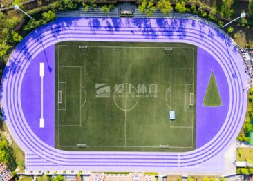 重庆哈罗礼德国际学校