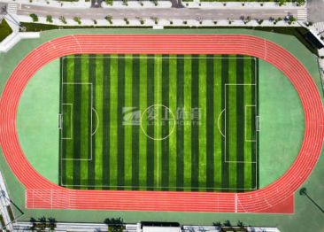 中国科学院重庆学院