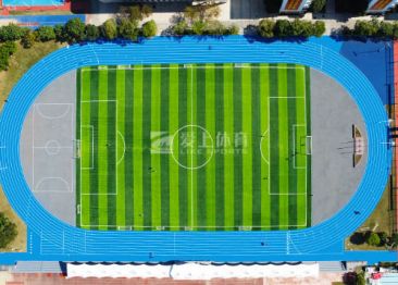 华中师范大学龙岗附属中学