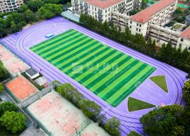 杭州市丁兰实验中学（国内首条紫跑）