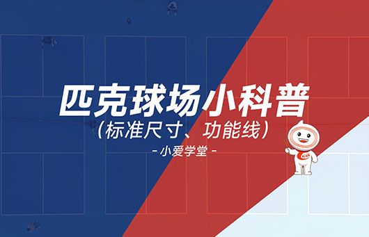 小爱学堂：匹克球场标准尺寸、功能线
