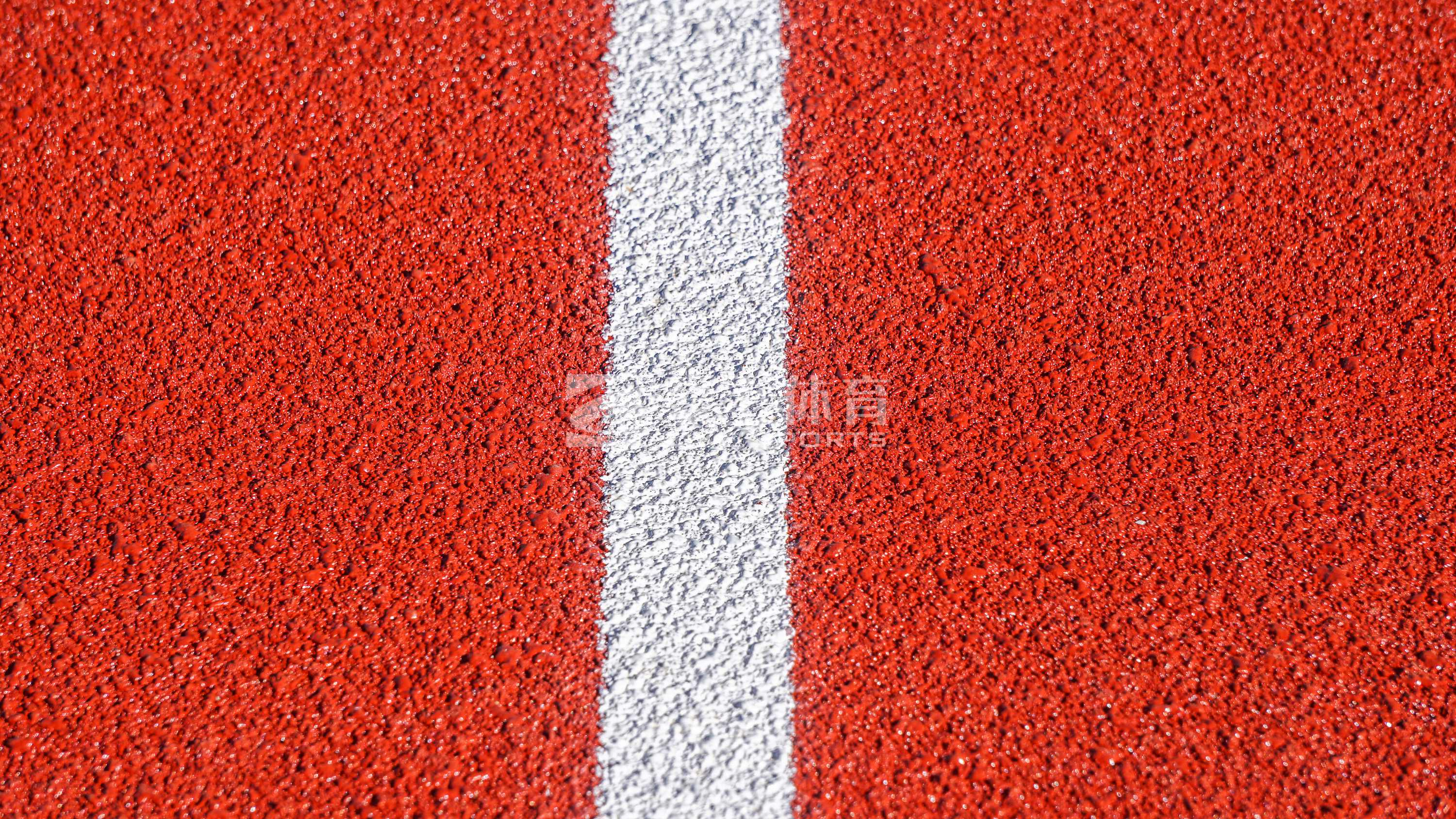 云南省昆明八中