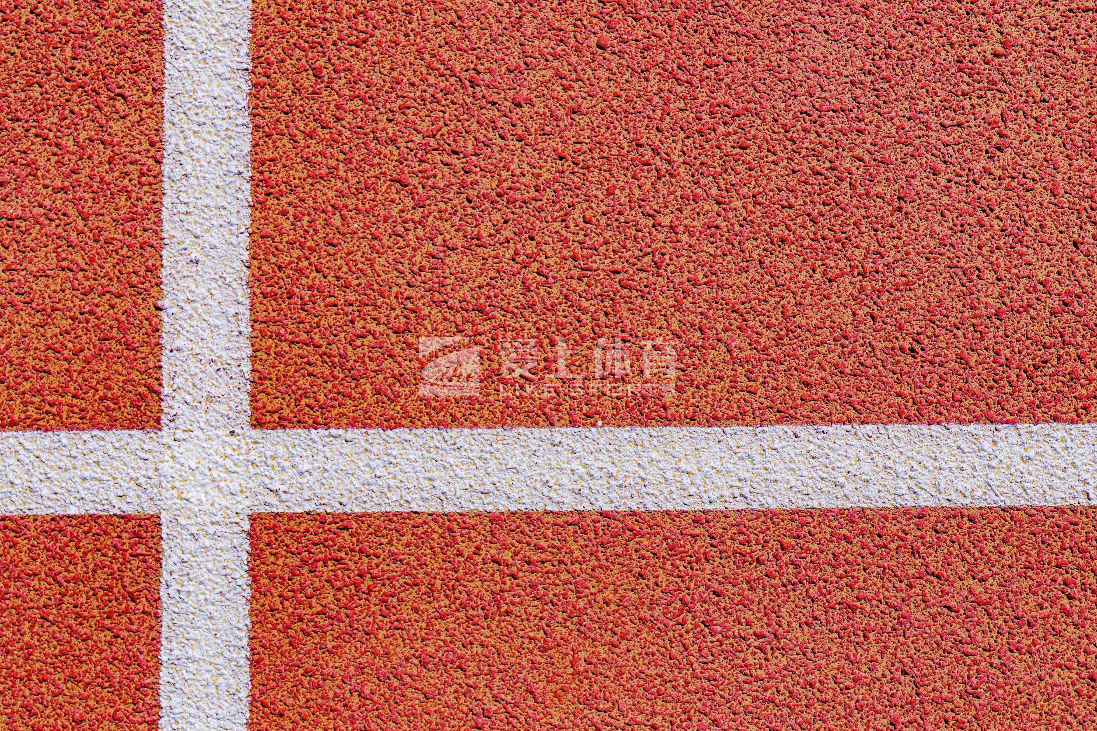 青藏高原首所高等学府青海民族大学|爱上全塑型自结纹塑胶跑道