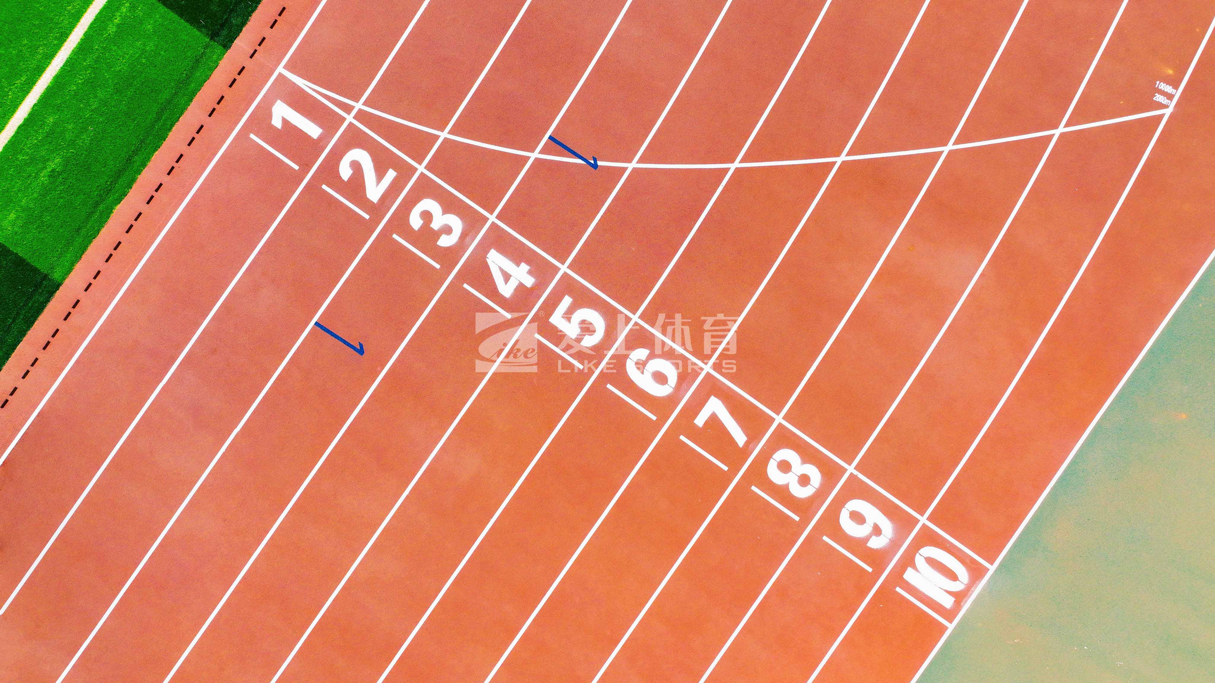 青藏高原首所高等学府青海民族大学|爱上全塑型自结纹塑胶跑道